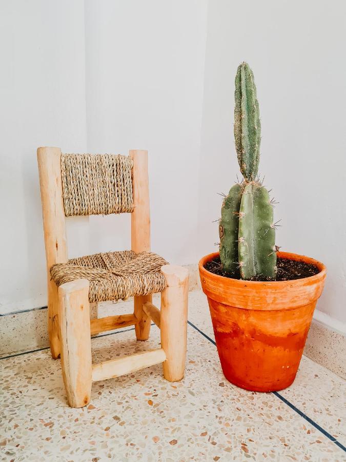 Хостел Cactus Surf House Tamraght Экстерьер фото